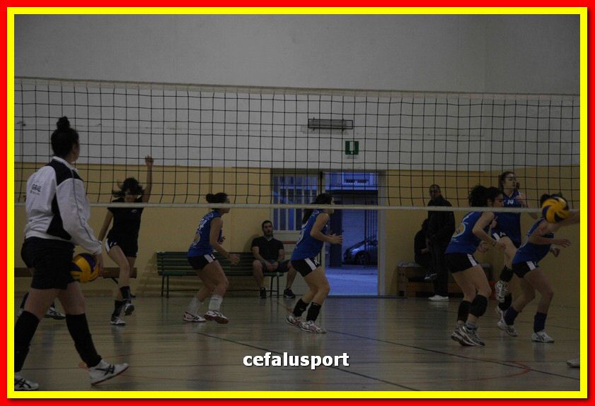 150508_Primula 014_tn.jpg